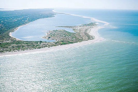 Pelican Bay